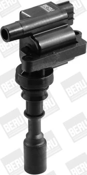 Ritė, uždegimas BorgWarner (BERU) ZSE087