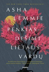 Penkiasdešimt lietaus vardų kaina