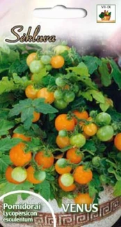 Valgomieji pomidorai Venus