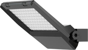 96W LED prožektorius NUMANCIA S PRO, tamsiai pilkas, 4000K, IP66