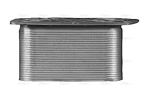 Alyvos radiatorius AVA COOLING DZ3044 AVA