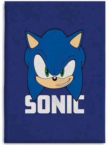 Sega Sonic The Hedgehog polar blanket