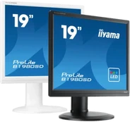 Monitorius iiyama ProLite B1980S-W1, 48.3 cm (19), kit, baltas