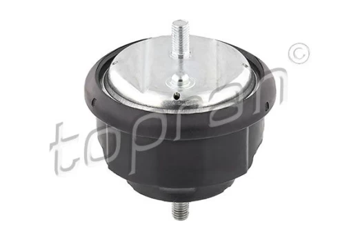 Variklio montavimas TOPRAN 500 277