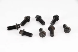 LUK 411 0119 10 Flywheel bolt set kaina