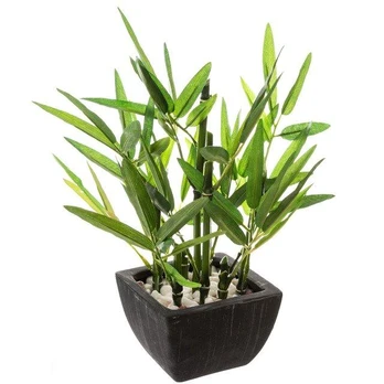 Artificial ornamental plant BAMBUS, 26 cm, juodas pot