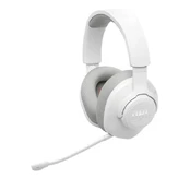 Ausinės JBL Quantum 360 kaina