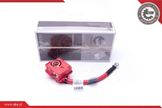 Akumuliatoriaus adapteris ESEN SKV 96SKV309