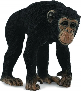 Figūrėlė CollectA Šimpanzės patelė 88493