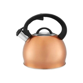 Ambition indukcinis virdulys, 2,3 l