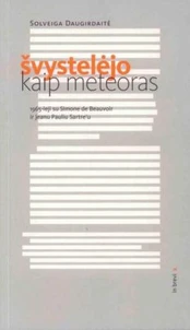 Švystelėjo kaip meteoras