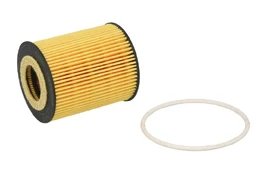 Alyvos filtras HENGST FILTER E610HD38 kaina
