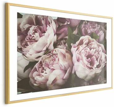 Artgeist Plakatas - Rožinė Peonies