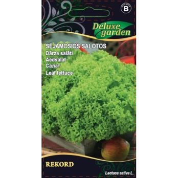 SĖJAMOSIOS SALOTOS REKORD