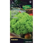 SĖJAMOSIOS SALOTOS REKORD kaina