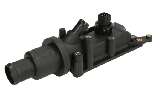termostatas, aušinimo skystis THERMOTEC D2R013TT