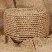 Virvė, 100% džiutas, 12 mm, 250 m. kaina