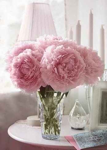 Deimantinis paveikslas Soft Peonies WD002 27*38 cm