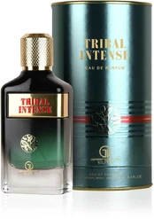 Grandeur Tribal Intense 100ml Vyrams EDP kaina
