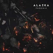 CD Alazka - Phoenix