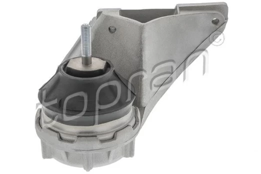Variklio montavimas TOPRAN 103 729