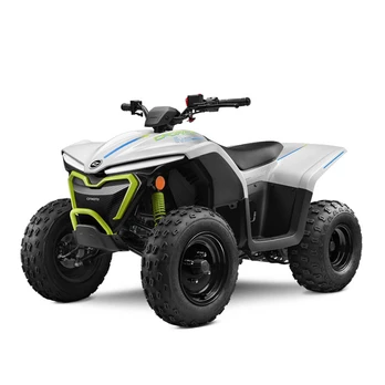 Vaikiškas elektrinis keturratis CFMOTO CFORCE EV110