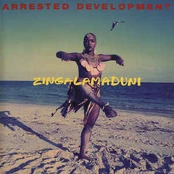 CD Arrested Development - Zingalamaduni