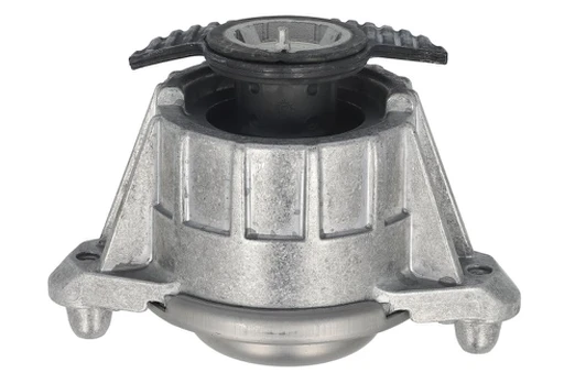 Variklio montavimas TEDGUM TED71470
