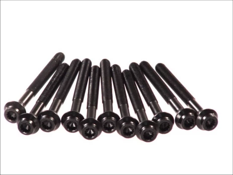 ELRING EL820114 Cylinder head bolt set
