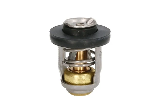 termostatas, aušinimo skystis 825212A1