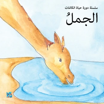 Camel