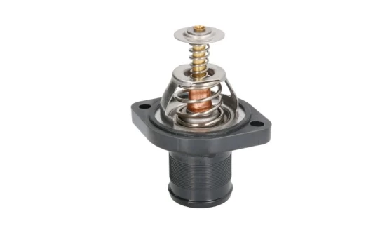 termostatas, aušinimo skystis THERMOTEC D2C004TT