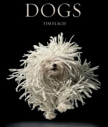 KNYGA Tim Flach Šunys