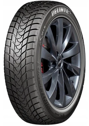 Delinte WD1 205/55 R16 91 H
