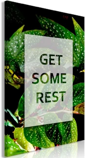 Artgeist Paveikslas - Get Some Rest (1 Part) Vertical kaina