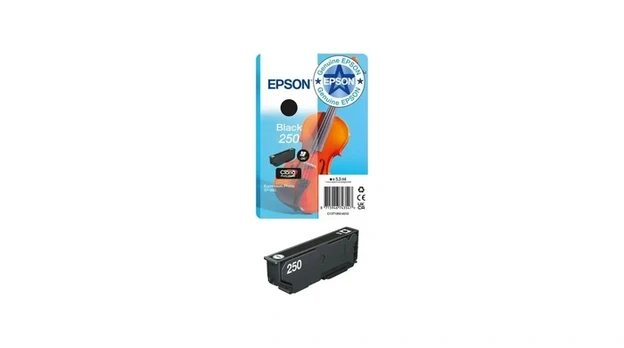 EPSON Singlepack Black 250 ink | C13T16N14010