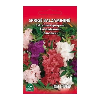 SPRIGĖ BALZAMINĖ TOM THUMB