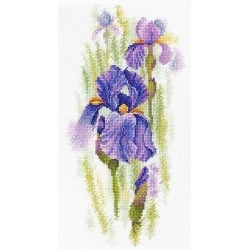 Ethereal Iris SA-020 - Siuvinėjimo rinkinys