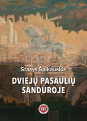 Dviejų pasaulių sandūroje kaina