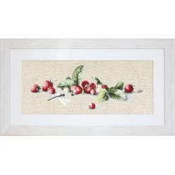 Etude with Strawberries SBL2254