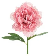 Party Deco Rosa Bonderose, 1 stk
