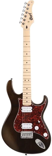 Elektrinė gitara Cort G100 OPW HH
