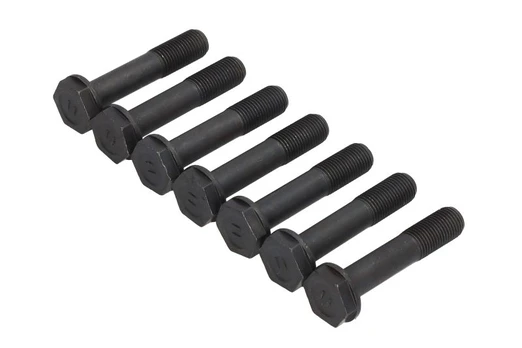 LUK 411 0232 10 Flywheel bolt set