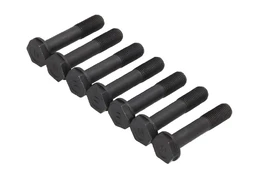 LUK 411 0232 10 Flywheel bolt set kaina