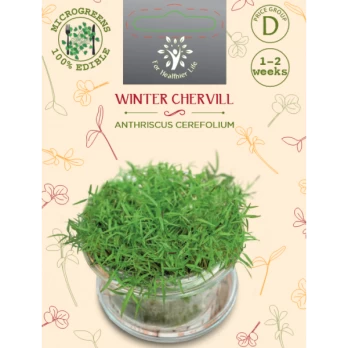 Sėklos daigams Daržinis builis 10g (ANTHRISCUS CEREFOLIUM)