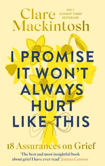 I Promise It Won't Always Hurt Like This