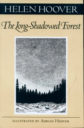 Long-Shadowed Forest