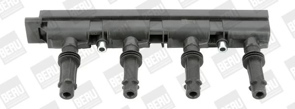 Ritė, uždegimas BorgWarner (BERU) ZSE185