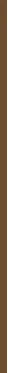 Essence Blur Nude Eyeshadow Stick 1.2 g