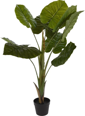 Mondex Dirbtinis vazoninis augalas ALOCASIA WENTII, aukštas, 110 cm